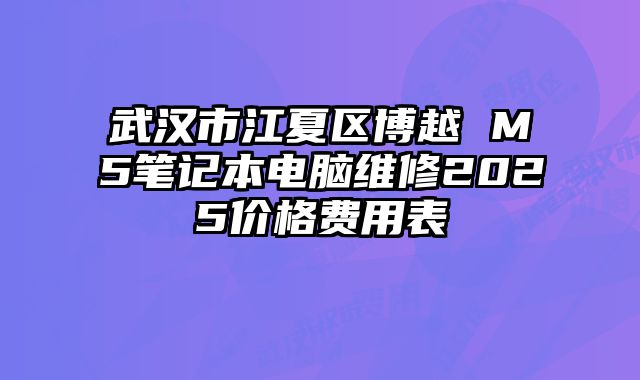 武汉市江夏区博越 M5笔记本电脑维修2025价格费用表