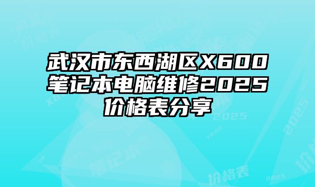 武汉市东西湖区X600笔记本电脑维修2025价格表分享