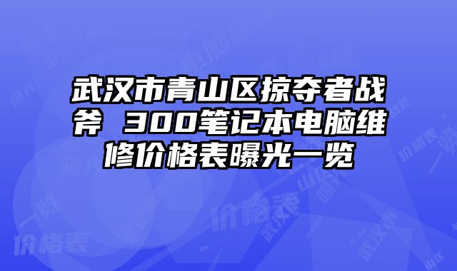 武汉市青山区掠夺者战斧 300笔记本电脑维修价格表曝光一览