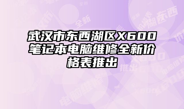 武汉市东西湖区X600笔记本电脑维修全新价格表推出