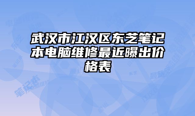 武汉市江汉区东芝笔记本电脑维修最近曝出价格表