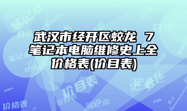 武汉市经开区蛟龙 7笔记本电脑维修史上全价格表(价目表)