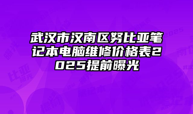 武汉市汉南区努比亚笔记本电脑维修价格表2025提前曝光