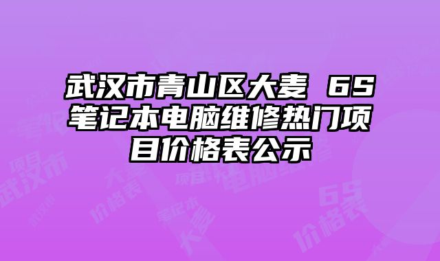 武汉市青山区大麦 6S笔记本电脑维修热门项目价格表公示