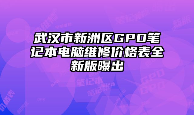 武汉市新洲区GPD笔记本电脑维修价格表全新版曝出