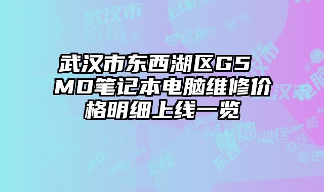 武汉市东西湖区G5 MD笔记本电脑维修价格明细上线一览