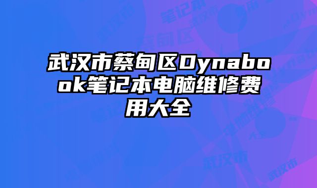 武汉市蔡甸区Dynabook笔记本电脑维修费用大全