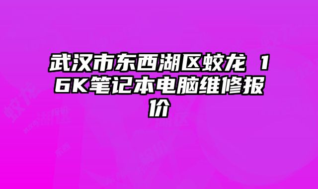 武汉市东西湖区蛟龙 16K笔记本电脑维修报价