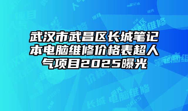 武汉市武昌区长城笔记本电脑维修价格表超人气项目2025曝光