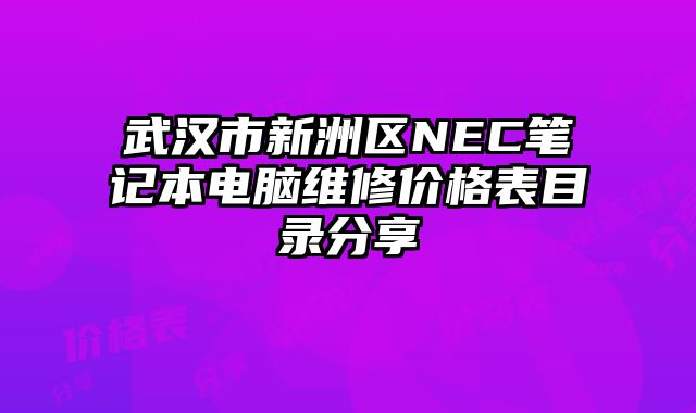 武汉市新洲区NEC笔记本电脑维修价格表目录分享