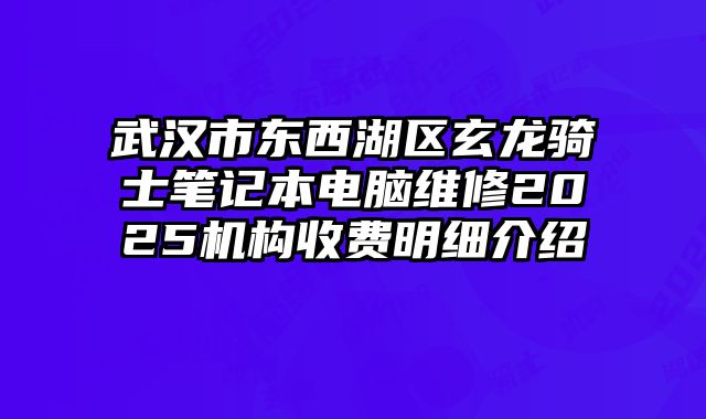 武汉市东西湖区玄龙骑士笔记本电脑维修2025机构收费明细介绍