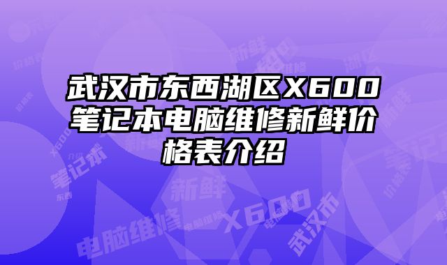 武汉市东西湖区X600笔记本电脑维修新鲜价格表介绍