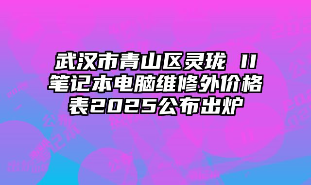 武汉市青山区灵珑 II笔记本电脑维修外价格表2025公布出炉