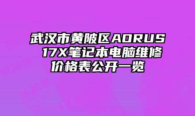 武汉市黄陂区AORUS 17X笔记本电脑维修价格表公开一览