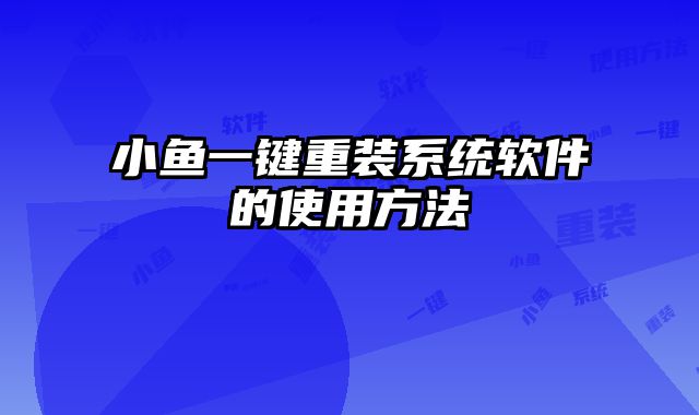 小鱼一键重装系统软件的使用方法