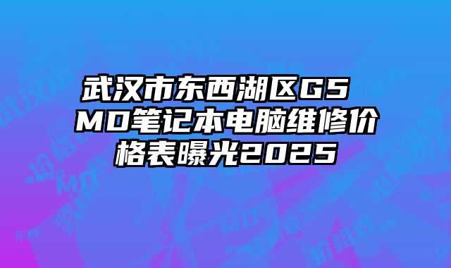 武汉市东西湖区G5 MD笔记本电脑维修价格表曝光2025