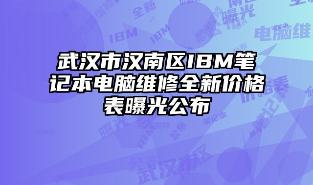 武汉市汉南区IBM笔记本电脑维修全新价格表曝光公布