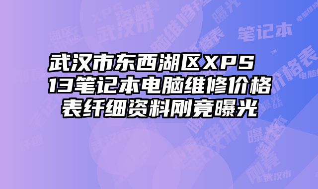 武汉市东西湖区XPS 13笔记本电脑维修价格表纤细资料刚竟曝光