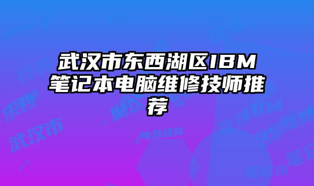 武汉市东西湖区IBM笔记本电脑维修技师推荐