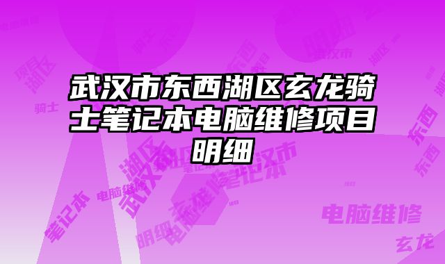 武汉市东西湖区玄龙骑士笔记本电脑维修项目明细