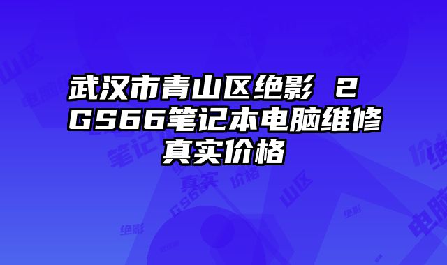 武汉市青山区绝影 2 GS66笔记本电脑维修真实价格