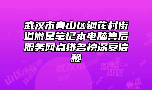 武汉市青山区钢花村街道微星笔记本电脑售后服务网点排名榜深受信赖