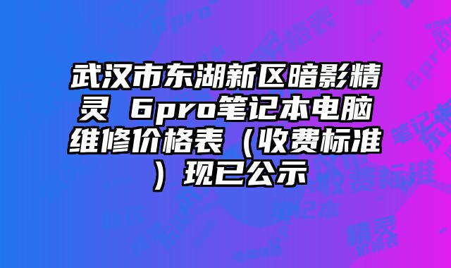 武汉市东湖新区暗影精灵 6pro笔记本电脑维修价格表（收费标准）现已公示