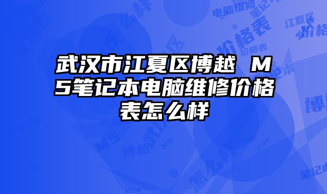 武汉市江夏区博越 M5笔记本电脑维修价格表怎么样