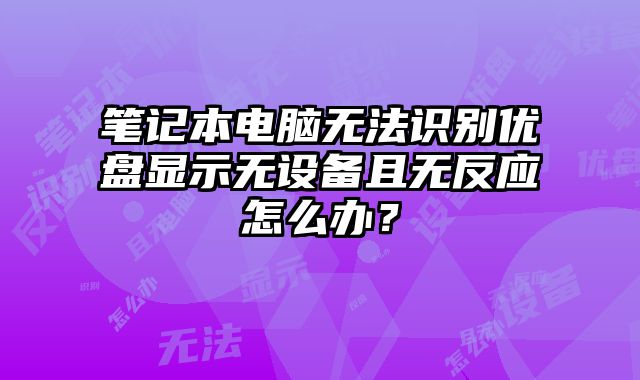 笔记本电脑无法识别优盘显示无设备且无反应怎么办？