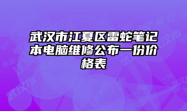 武汉市江夏区雷蛇笔记本电脑维修公布一份价格表