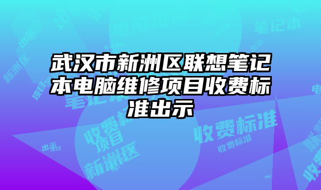 武汉市新洲区联想笔记本电脑维修项目收费标准出示