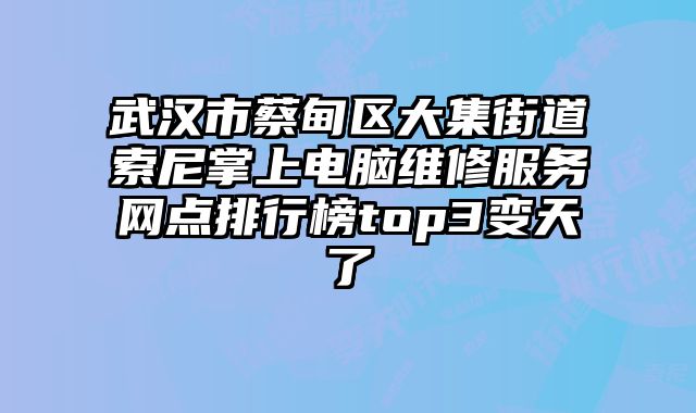 武汉市蔡甸区大集街道索尼掌上电脑维修服务网点排行榜top3变天了