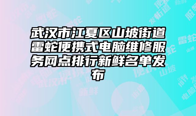 武汉市江夏区山坡街道雷蛇便携式电脑维修服务网点排行新鲜名单发布