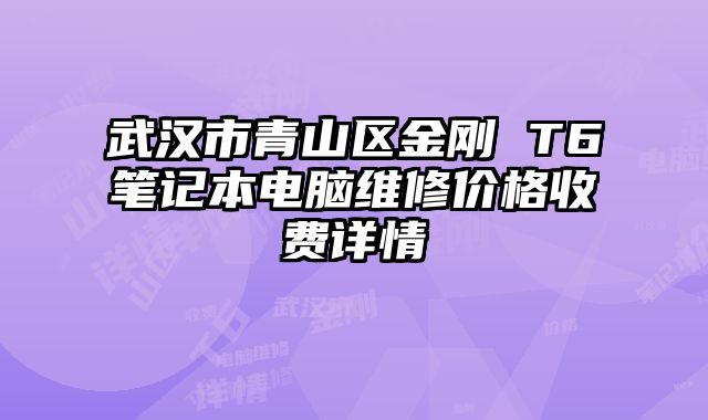 武汉市青山区金刚 T6笔记本电脑维修价格收费详情