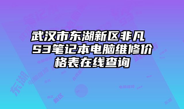 武汉市东湖新区非凡 S3笔记本电脑维修价格表在线查询