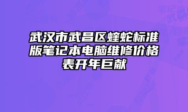 武汉市武昌区蝰蛇标准版笔记本电脑维修价格表开年巨献