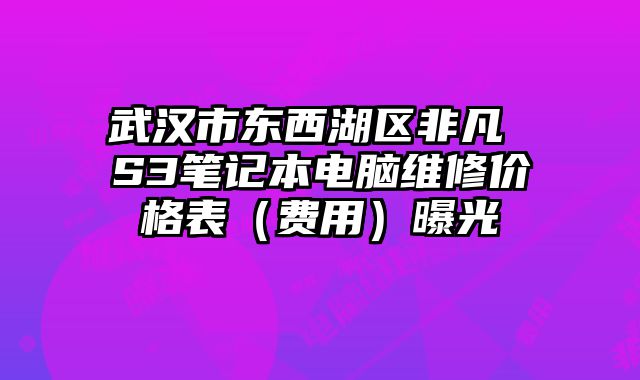 武汉市东西湖区非凡 S3笔记本电脑维修价格表（费用）曝光