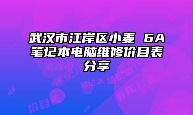 武汉市江岸区小麦 6A笔记本电脑维修价目表分享