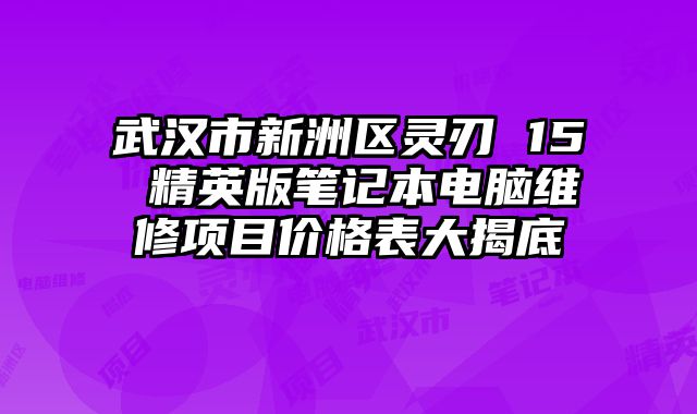 武汉市新洲区灵刃 15 精英版笔记本电脑维修项目价格表大揭底