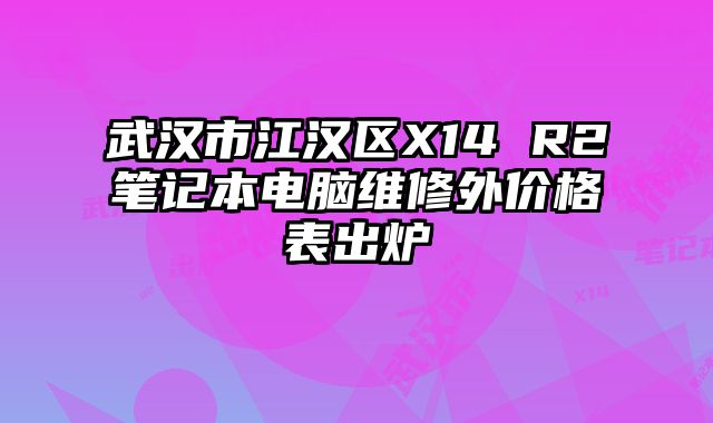 武汉市江汉区X14 R2笔记本电脑维修外价格表出炉