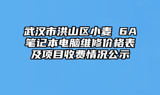 武汉市洪山区小麦 6A笔记本电脑维修价格表及项目收费情况公示