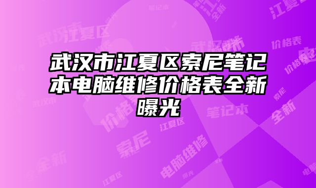 武汉市江夏区索尼笔记本电脑维修价格表全新曝光