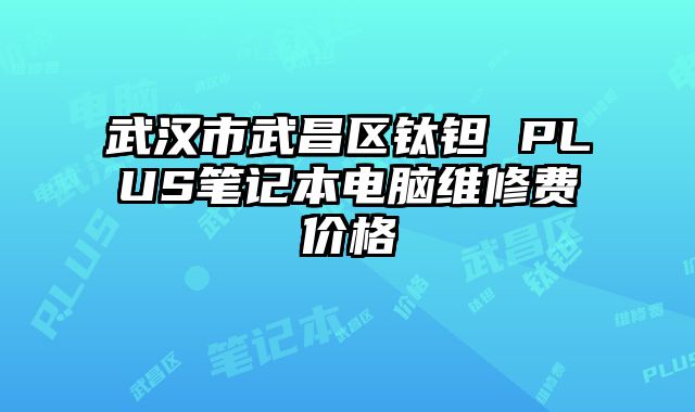 武汉市武昌区钛钽 PLUS笔记本电脑维修费价格