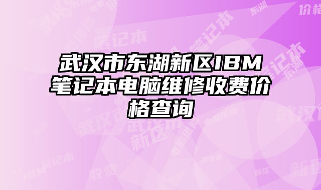 武汉市东湖新区IBM笔记本电脑维修收费价格查询