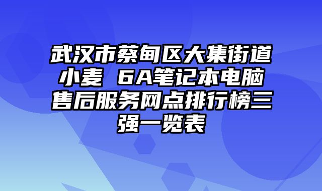 武汉市蔡甸区大集街道小麦 6A笔记本电脑售后服务网点排行榜三强一览表