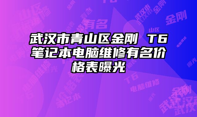 武汉市青山区金刚 T6笔记本电脑维修有名价格表曝光