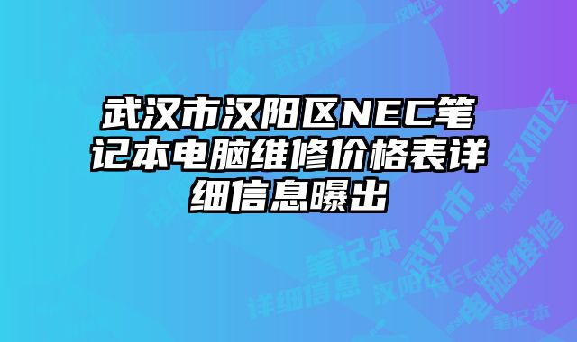 武汉市汉阳区NEC笔记本电脑维修价格表详细信息曝出