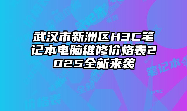 武汉市新洲区H3C笔记本电脑维修价格表2025全新来袭