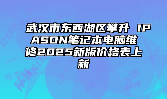 武汉市东西湖区攀升 IPASON笔记本电脑维修2025新版价格表上新