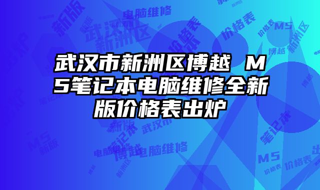 武汉市新洲区博越 M5笔记本电脑维修全新版价格表出炉